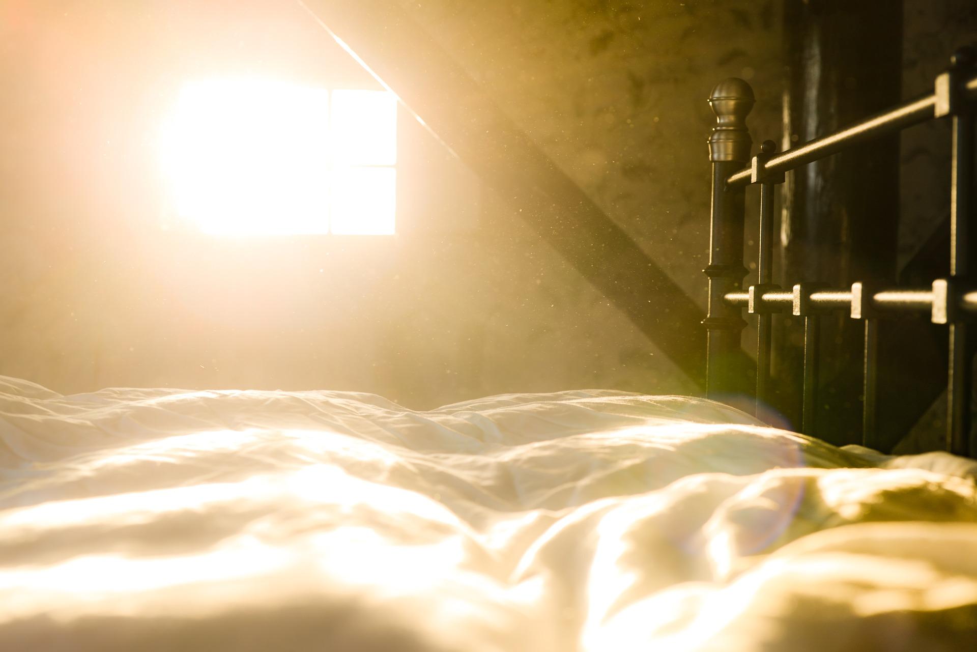 [Les Dossiers Assadia] Des matins qui chantent 4/6